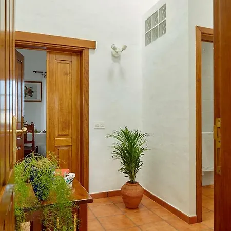 Nueva Apartment