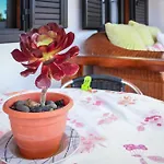 Nueva Apartamento *